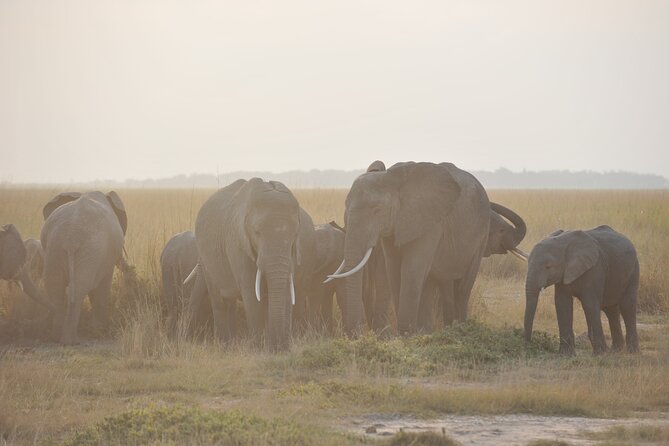 8 Days / 7 Nights 2021 / 2022 Wildebeest Migration Safari - Maasai Mara Reserve - Day 5: Entering the Maasai Mara