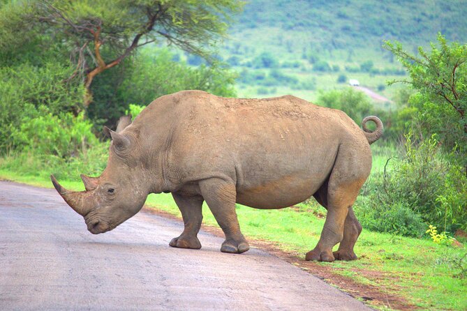 8 Days / 7 Nights 2021 / 2022 Wildebeest Migration Safari - Maasai Mara Reserve - What the private format means for you