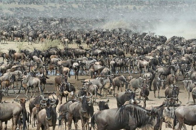 8 Days Kenya and Tanzania Private Lodging Safari from Nairobi - Why this Kenya and Tanzania route works
