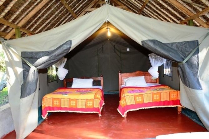 8 Days Kenya and Tanzania Private Lodging Safari from Nairobi - Day 6: Ngorongoro Crater from 6 a.m. to early afternoon
