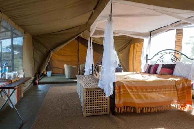 8 Days Kenya and Tanzania Private Lodging Safari from Nairobi - Day 7: Birds, tree-climbing lions, and Arusha