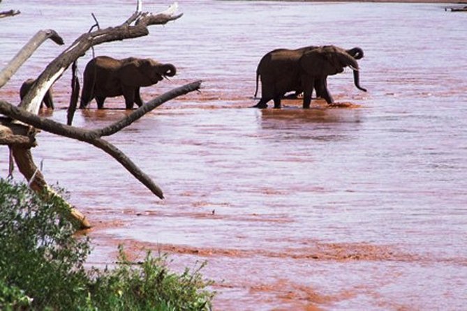 8 days Kenya highlights safari starting from Nairobi. - What the private format means for you