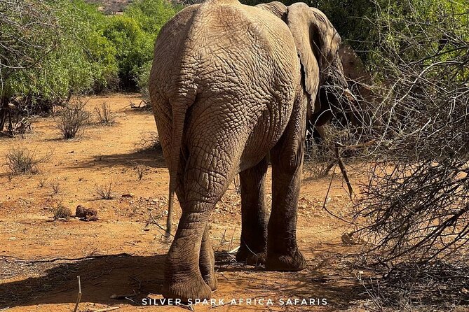 8 Days: Tsavo East National Park Amboseli, Nakuru, Maasai Mara Park - Tsavo East: red soil, elephants, and a memorable first drive