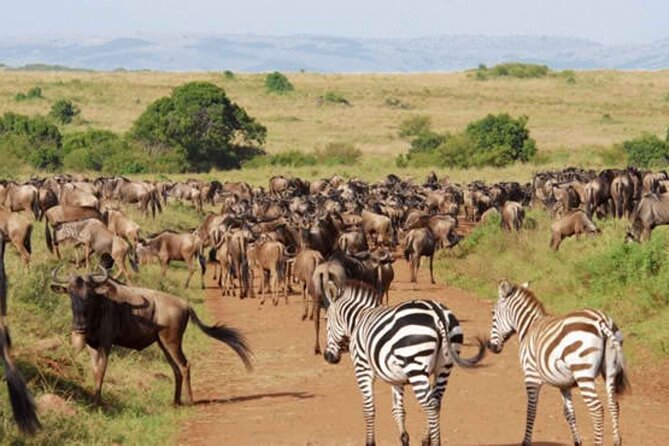 9 Day Private Luxury Spectacle Safari Majestic Kenya Wonderland - Days 1 and 2: Tsavo West, springs, rocks, and red elephants