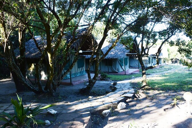 9 days, 8 nights budget Kenya and Tanzania safari - Day 5: From Namanga to Lake Manyara and Arusha