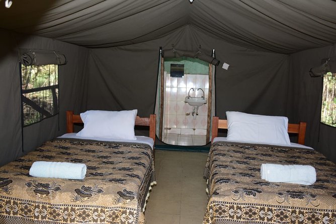 9 days, 8 nights budget Kenya and Tanzania safari - Days 6 and 7: Two days in the Serengeti