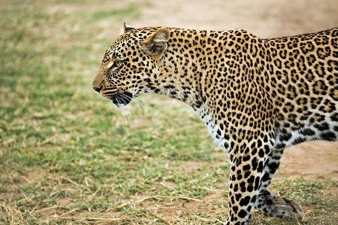 9 days, 8 nights budget Kenya and Tanzania safari - Day 1: Nairobi to Maasai Mara with a Rift Valley stop