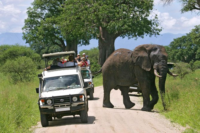 9-Days Best of Kenya Wildlife Private 4X4 Jeep Safari - Key details that shape the safari