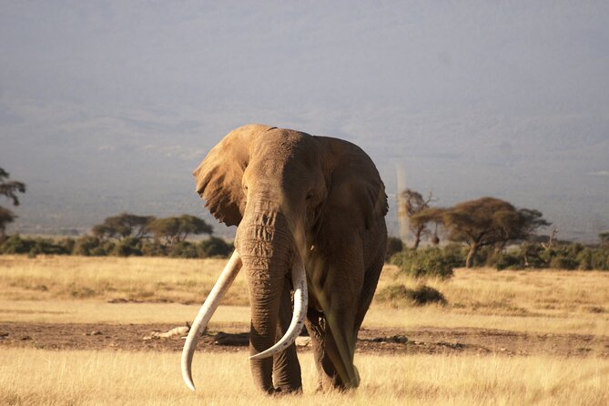 9- Days Classic Kenya Family Safari - Day 5: The long road to Amboseli
