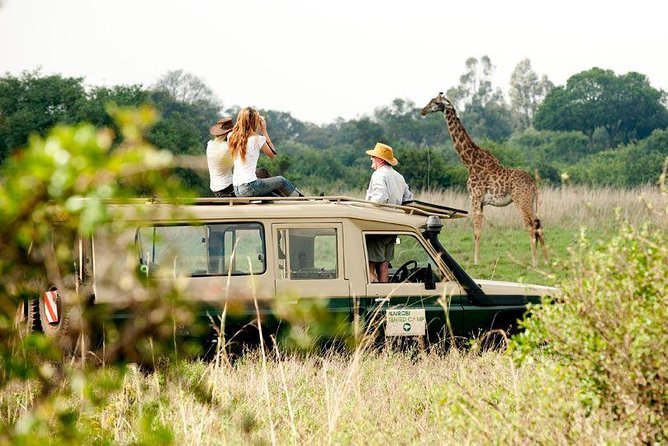9 Days Kenya Classic Lodge Safari - A grand Kenya route, with plenty of time on the road