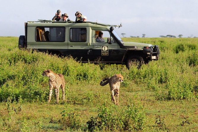 9 Days Kenya Classic Lodge Safari - Day 8: Mzima Springs and the move into Tsavo East