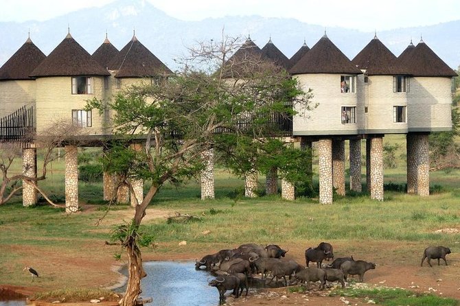 9 Days Kenya Classic Lodge Safari - Day 9: Tsavo East, Nairobi, or the Kenyan coast