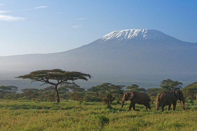 9 Days Samburu- Nakuru- Mara-Naivasha- Amboseli Wild Safari - Day 4: Entering the Maasai Mara through Narok