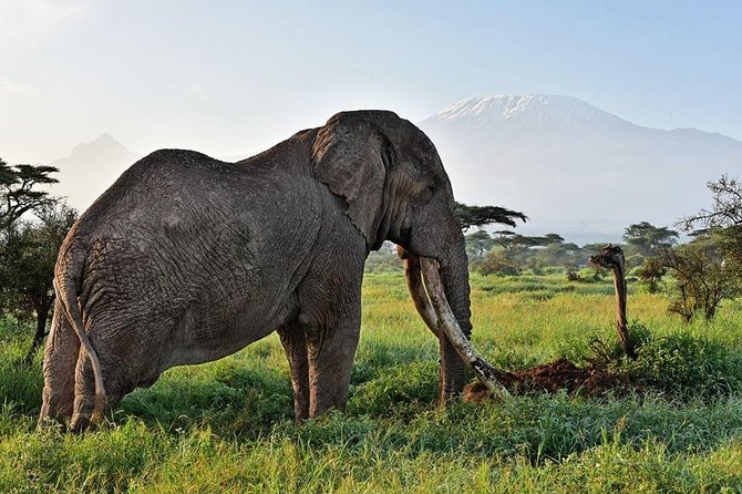9 Days Samburu- Nakuru- Mara-Naivasha- Amboseli Wild Safari - Day 6: Mara sunrise, Naivasha water, and an itinerary point to check