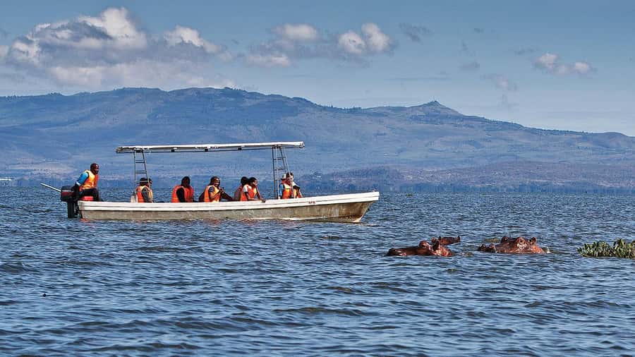 A day tour; Lake Nakuru national park& L. Naivasha Boat ride - Key points to know before you book