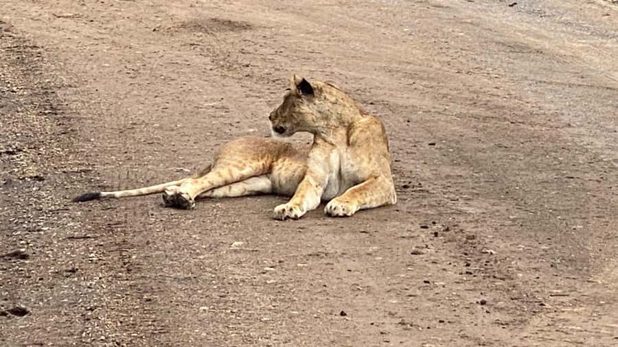 A day tour; Lake Nakuru national park& L. Naivasha Boat ride - Lake Naivasha by boat