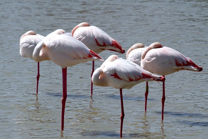 A thrilling Kenya 4 Days Adventure: Masai Mara &Lake Nakuru - Day 1: Nairobi to the Masai Mara by way of the Rift Valley