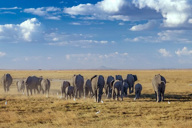 A thrilling Kenya 4 Days Adventure: Masai Mara &Lake Nakuru - Day 3: A final Mara morning and the road to Lake Nakuru