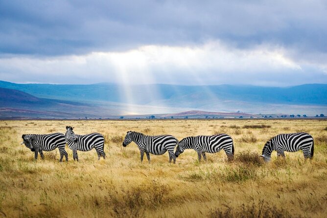 A thrilling Kenya 4 Days Adventure: Masai Mara &Lake Nakuru - What the $1,500 price really gives you