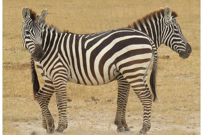 African Wildlife & Nature - 5 Kenya national parks - 6 day Jeep Safari - Day 3: Lake Naivasha by boat and on foot