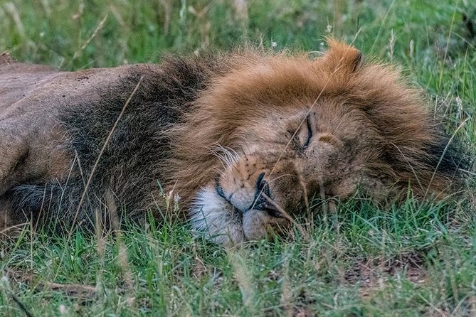 African Wildlife & Nature - 5 Kenya national parks - 6 day Jeep Safari - Day 6: Returning to Nairobi through the Rift Valley