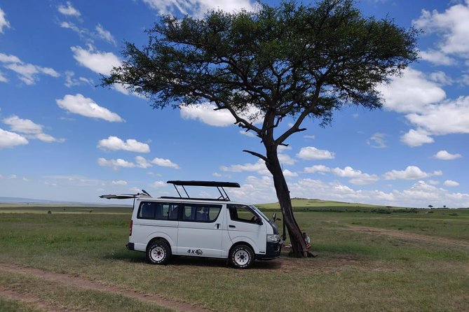 Afternoon half day mini safari to Nairobi National Park - What the $190 price includes