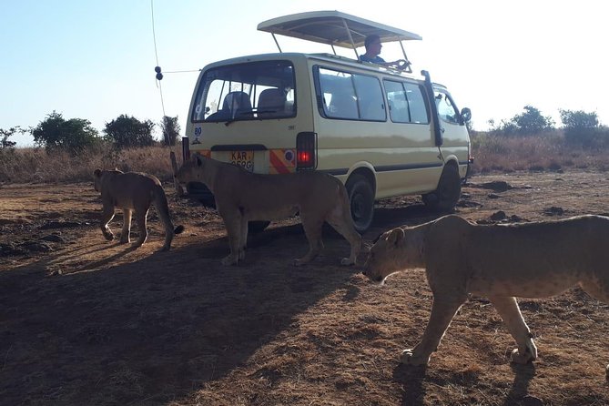 Airport Pick Up To Nairobi National Park / Drop Off - The open-roof van makes the wildlife search easier