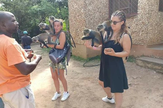 Airport Transfers to Watamu and Malindi - What the Watamu arrival is like