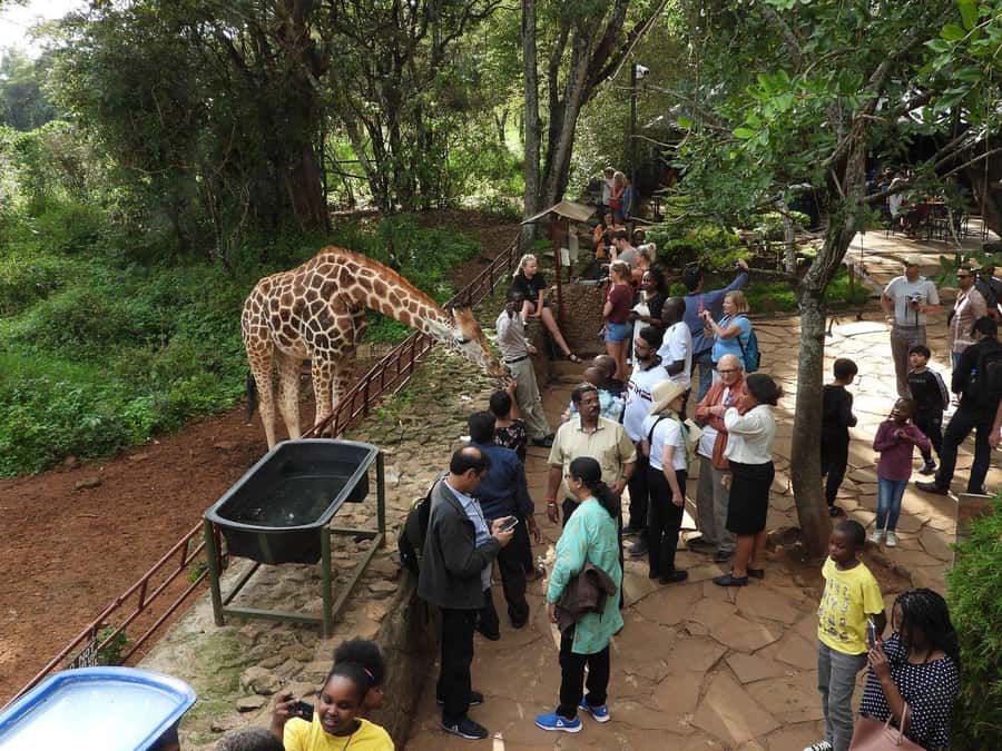 All-Inclusive: Giraffe Centre & Kazuri Beads Factory Visit - Kazuri Beads, from clay to finished jewelry
