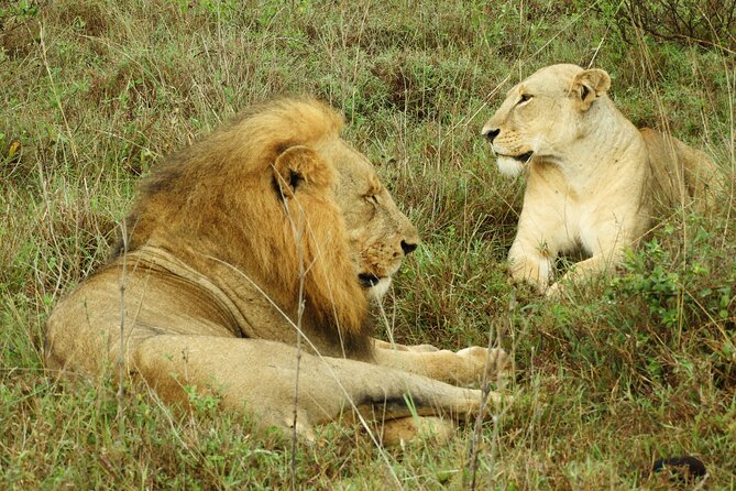 Amboseli Day Tour from Nairobi - Entering Amboseli National Park