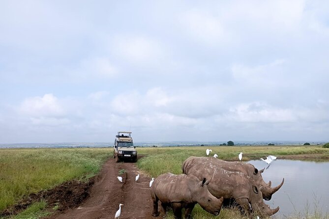 Amboseli day trip with pick up - A look at Maasai life
