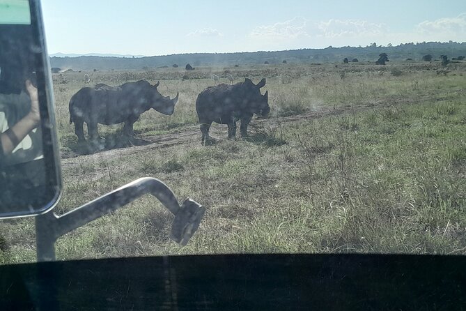Amboseli day trip with pick up - How the price works in real terms