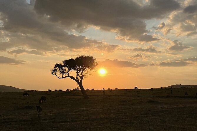 Amboseli day trip with pick up - Entering Amboseli beneath Kilimanjaro