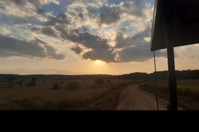 Amboseli Day Trip with Pickup - What is included, and what is not