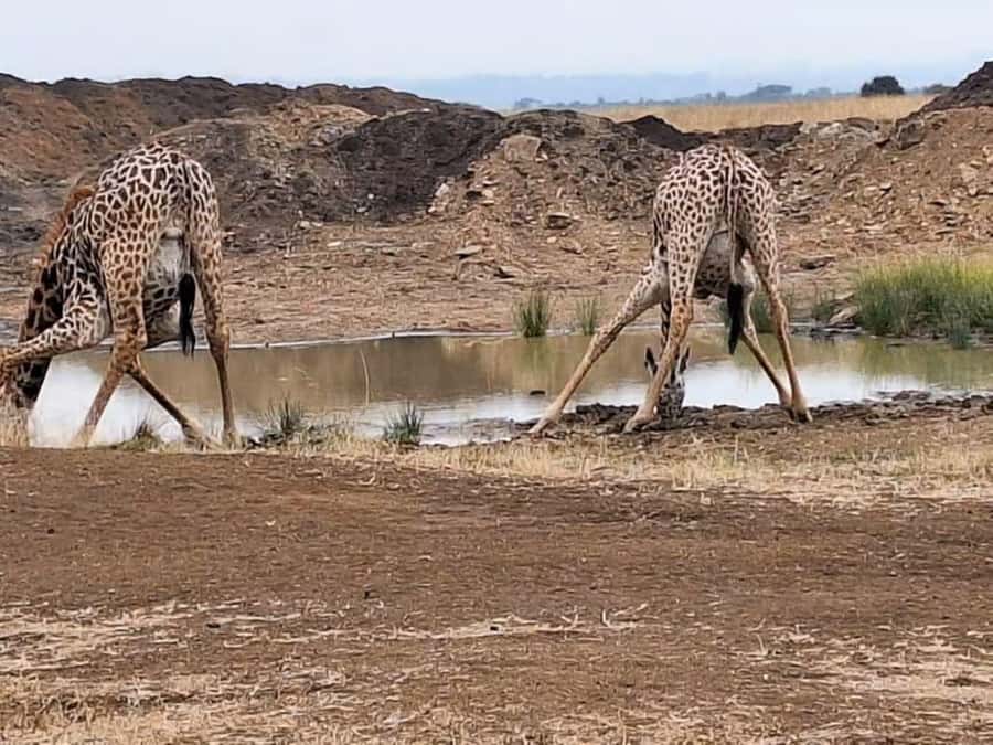 Amboseli National Park 3-Day Safari from Nairobi - What the $480 price really includes