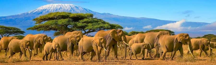Amboseli National Park 3-Day Safari from Nairobi - The road from Nairobi to Amboseli