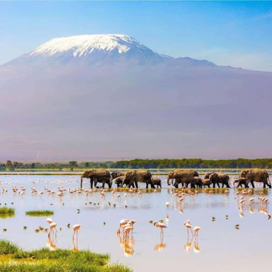 Amboseli National Park Day Trip and Maasai Village Visit - Who will enjoy this day trip most