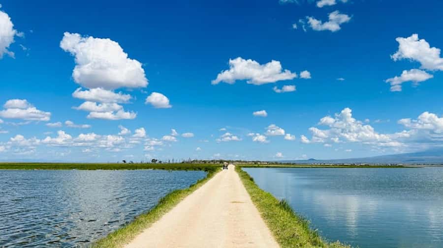 Amboseli National Park Day Trip and Maasai Village Visit - Should you book this Amboseli experience?
