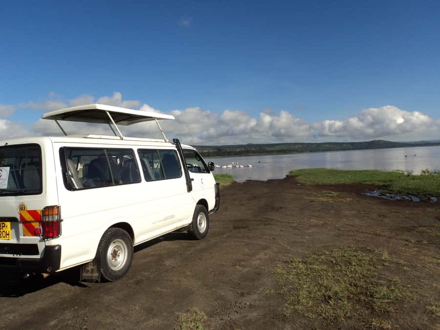 Amboseli National Park Day Trip from Nairobi - Why Amboseli makes such a strong day safari