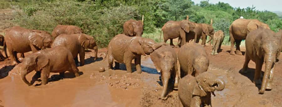 Amboseli National Park Day Trip from Nairobi - The road south and the breakfast pause