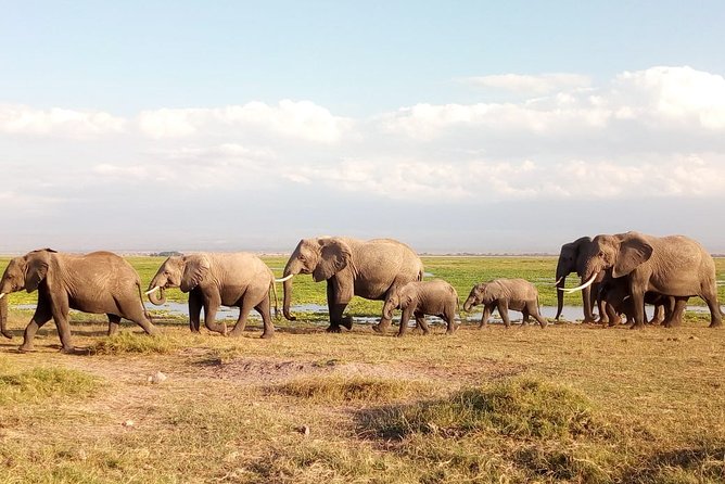 Amboseli National park Day trip:Mt kilimanjaro Views - Entering Amboseli with Kilimanjaro in view
