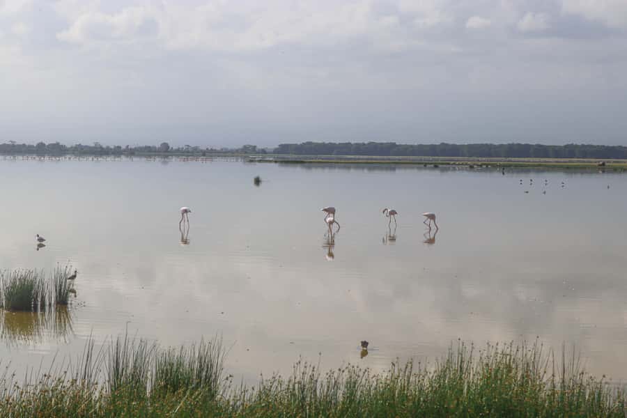 Amboseli National Park: Daytrip from Nairobi in a 4X4 Jeep - Entering Amboseli National Park