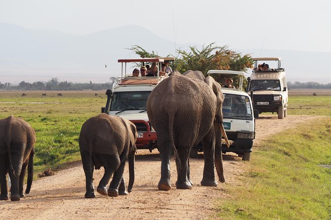 Amboseli National Park Full Day Guided Tour - Why Amboseli Works as a One-Day Safari