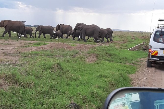 Amboseli National Park Guided Full Day Tour - The guides can shape the whole experience