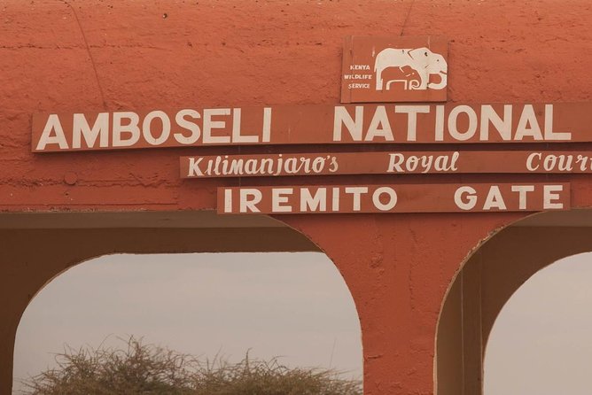 Amboseli Park & Kilimanjaro views Day tour - What the driver-guide adds