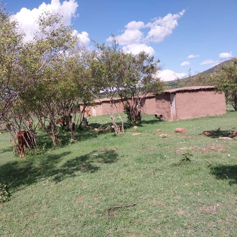 Amboseli Wildlife Day Tour And Masai Village Visit - Why Amboseli works as a day trip from Nairobi