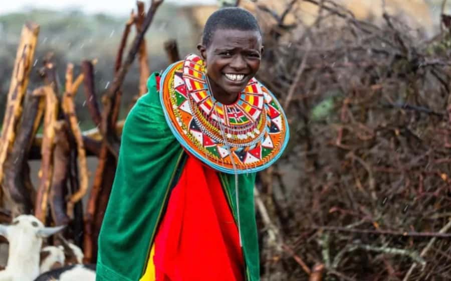 Amboseli Wildlife Day Tour And Masai Village Visit - Swamps, hippos, flamingoes, and birdlife