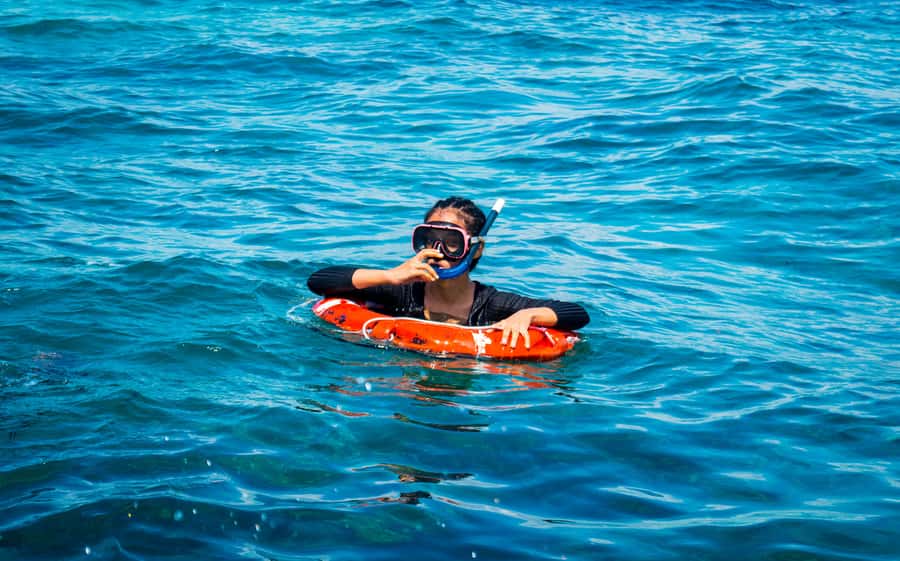 Blue Safari: Snorkeling at Watamu Marine Park & Seafood - Key points to know before booking
