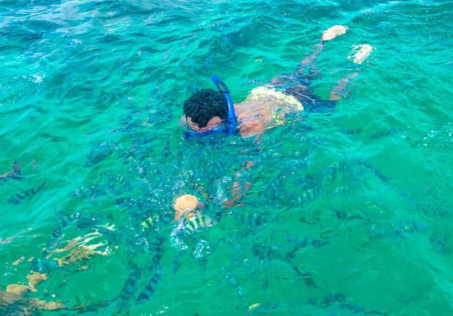 Blue Safari: Snorkeling at Watamu Marine Park & Seafood - The glass-bottom boat and Watamu Marine Park