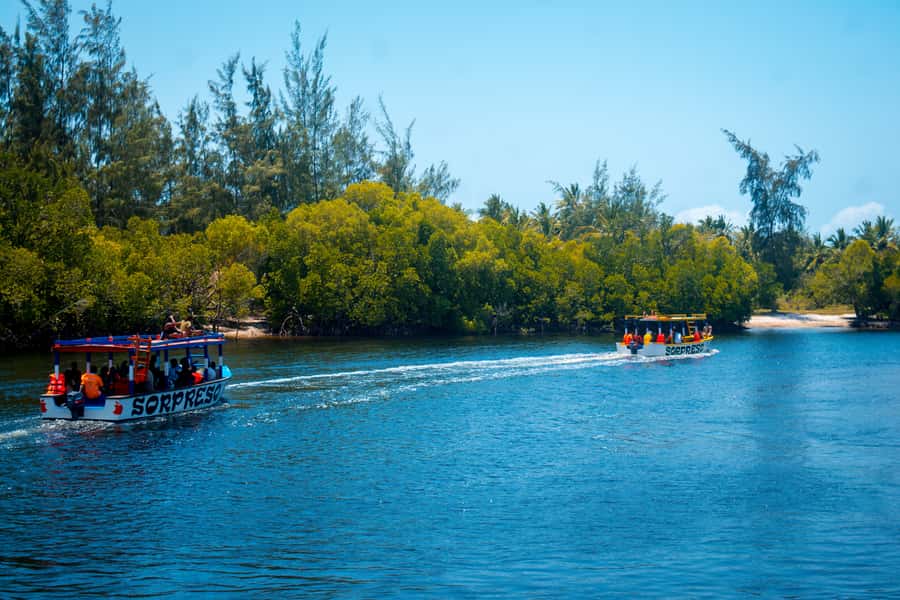 Blue Safari: Snorkeling at Watamu Marine Park & Seafood - Island seafood lunch with ocean views
